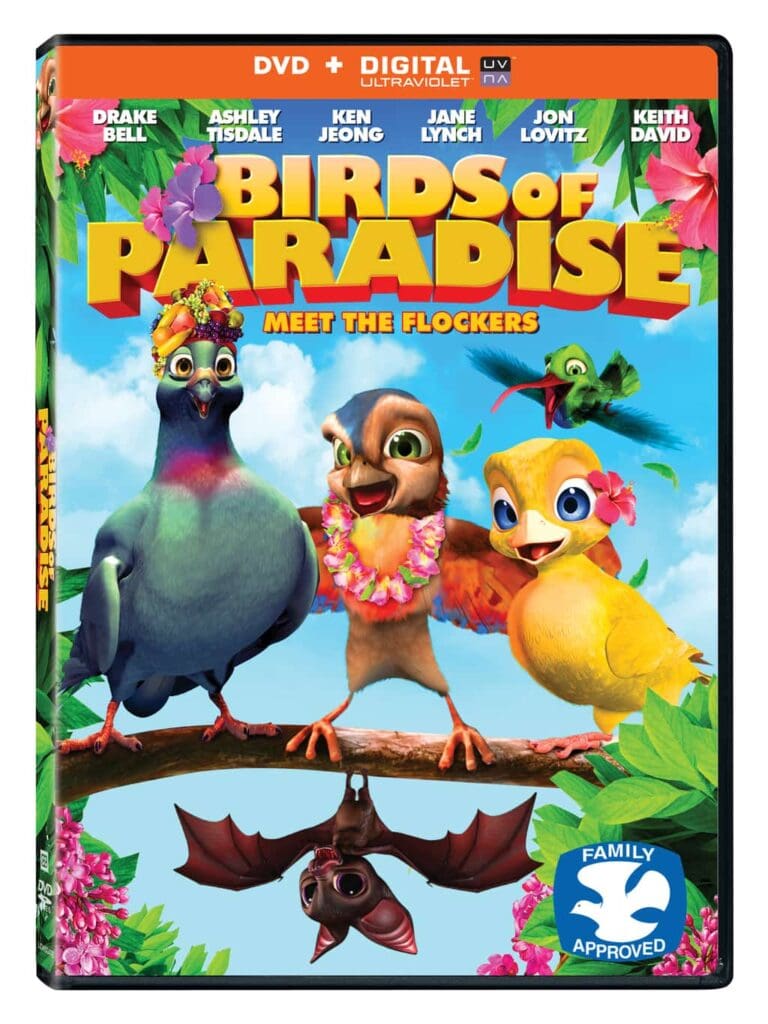 BOP 3d DVD