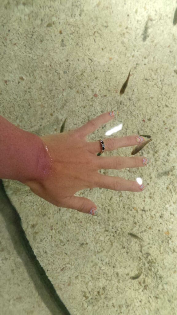 jamberry