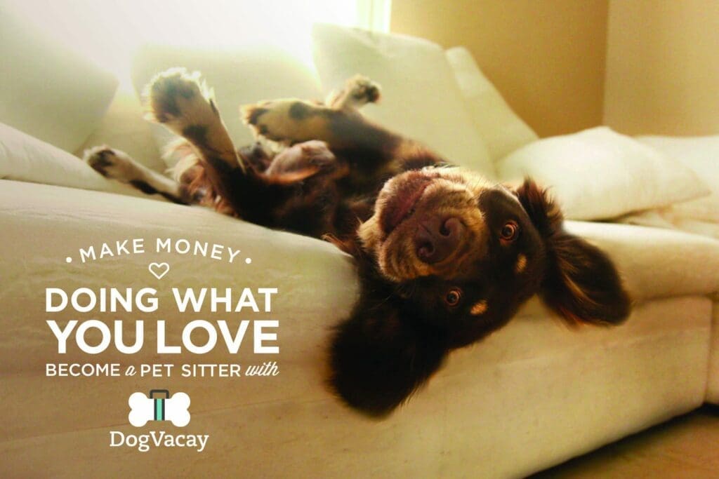 dogvacay