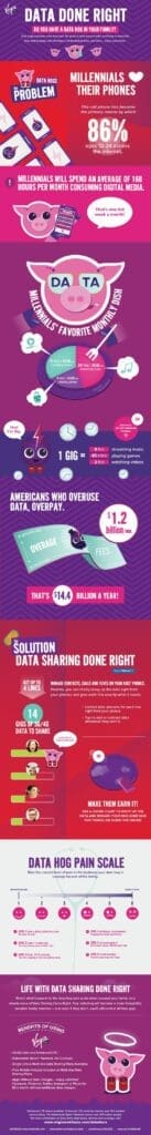 VMU_DataHog_Infographic_071315-web