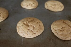 Spider Cookies