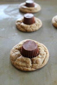 Spider Cookies