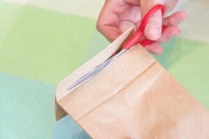 Halloween Treat bags