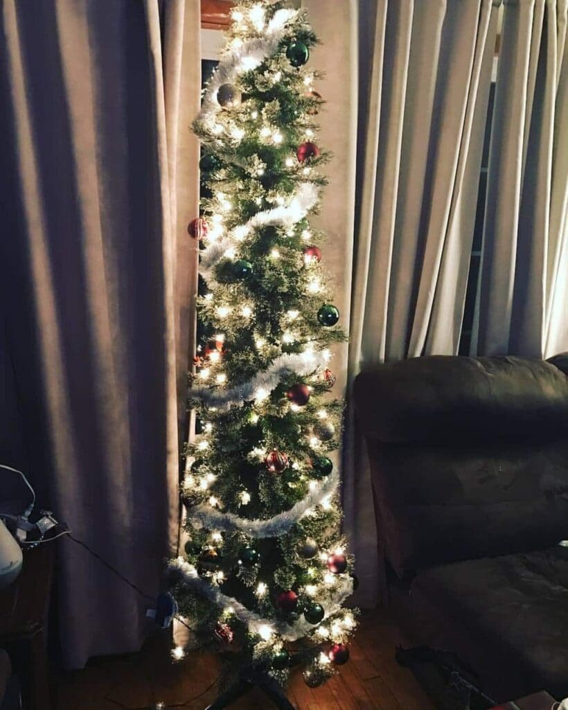 Holiday Traditions