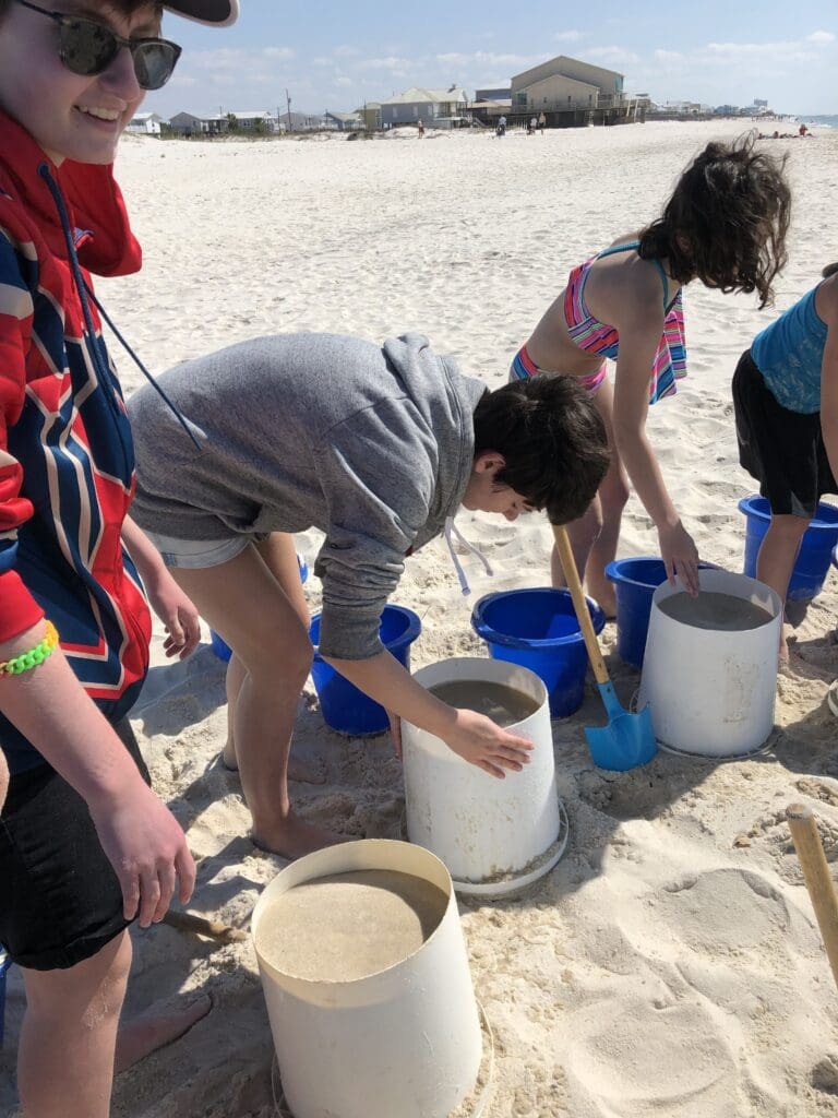 Sand Castle University