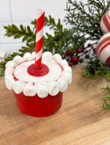Santa's Bag Treats