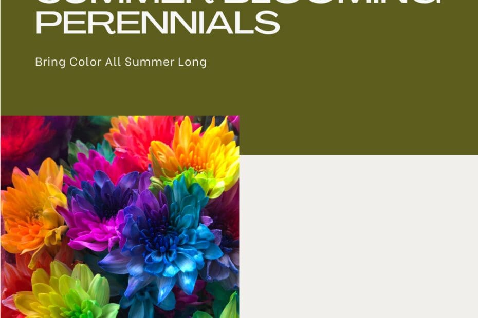 The Best Perennial Plants That Bloom All Summer