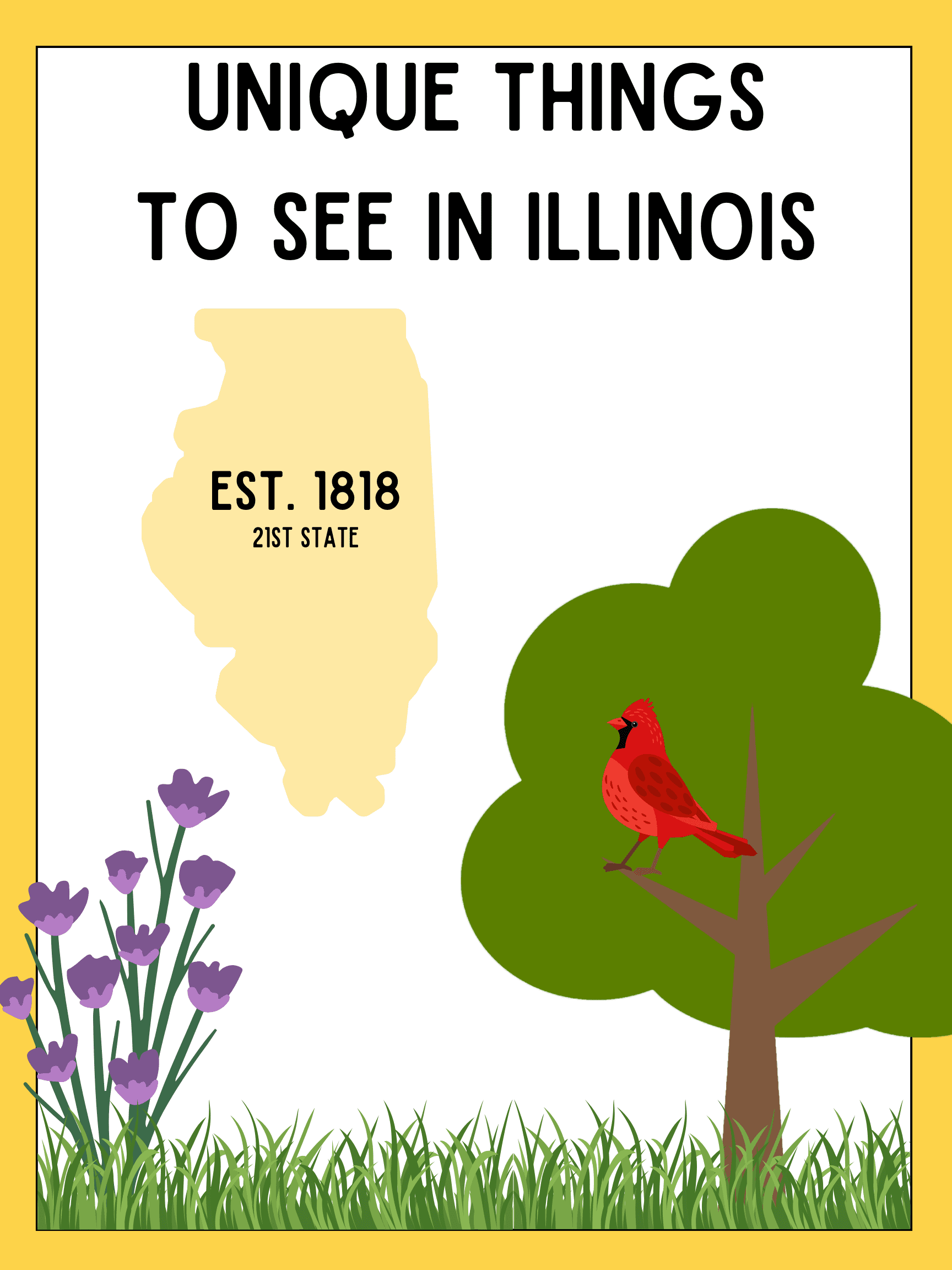 Unique Things To See In Illinois