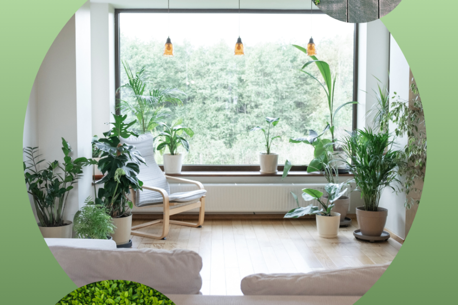 5 Biophilic Design Upgrades Under $100 You'll Love