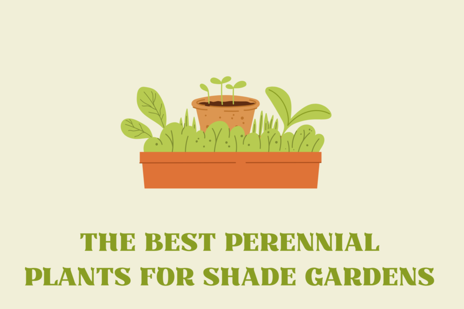 The Best Perennial Plants For Shade Gardens