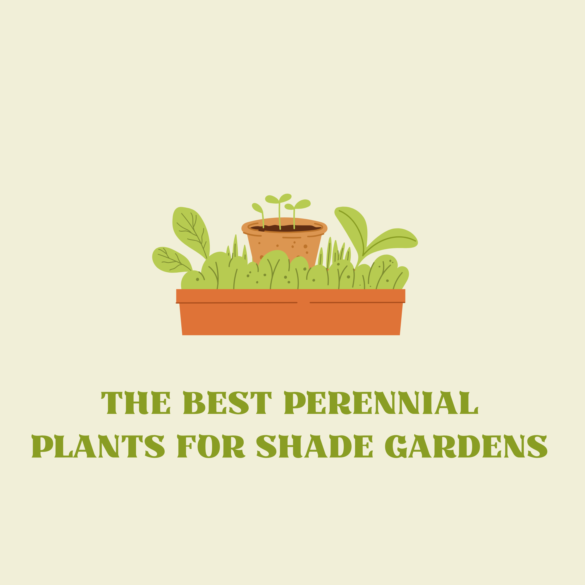 The Best Perennial Plants For Shade Gardens